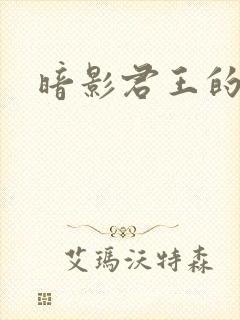 暗影君王的漫画