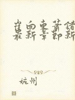 崔向东萧错小说最新章节新笔趣阁