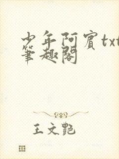 少年阿宾txt笔趣阁