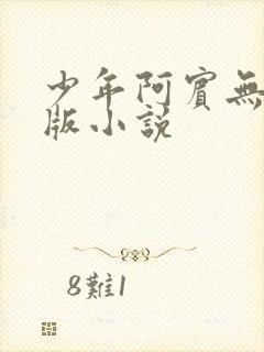 少年阿宾无删减版小说