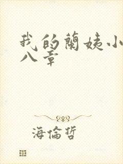 我的兰姨小说第八章封面