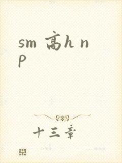 sm 高h np