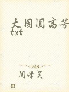 大团圆高芳小说txt
