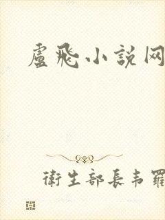 卢飞小说网