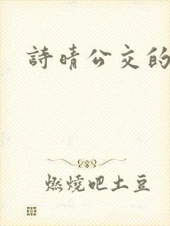 诗晴公交的小说