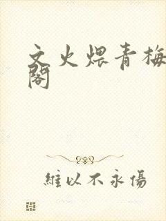 文火煨青梅笔趣阁