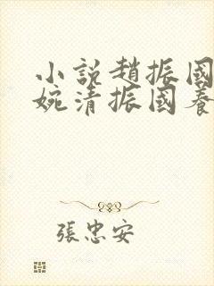 小说赵振国,宋婉清振国养家