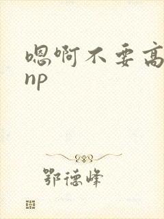 嗯啊不要高h np封面