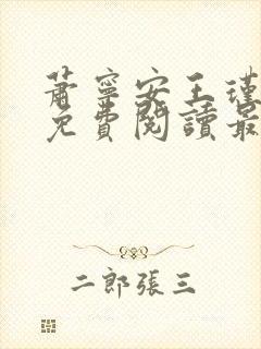 萧宁安王瑾小说免费阅读最新章节