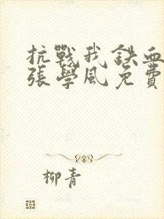 抗战我铁血少帅张学风免费