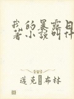 我的暴露日记原著小说叫什么