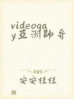 videogay亚洲帅哥