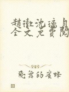 赵彻沈璃月小说全文免费阅读封面