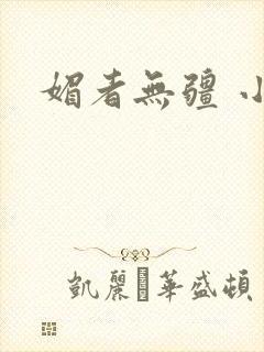 媚者无疆 小说封面