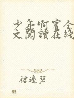 少年啊宾全文全文阅读在线阅读全文