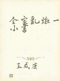 全家乱炖一锅烩小书