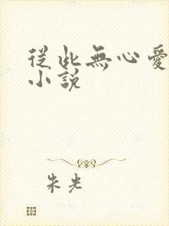 从此无心爱良夜小说