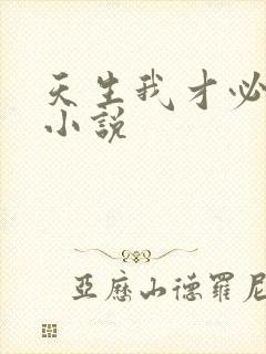 天生我才必有用小说