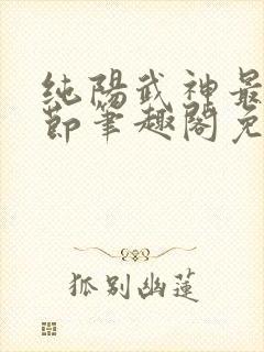 纯阳武神最新章节笔趣阁免费阅读