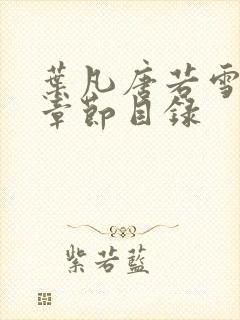 叶凡唐若雪全部章节目录封面