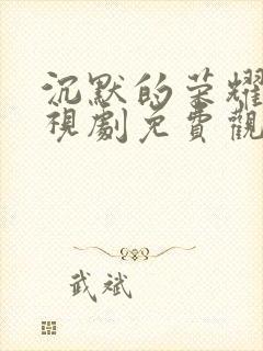 沉默的荣耀 电视剧免费观看全集高清版