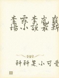 李霖李岚巅峰官场小说最新章节更新封面