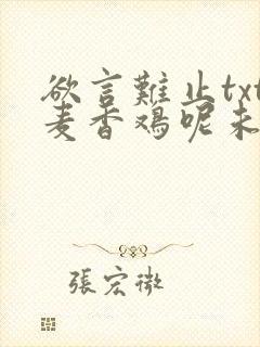 欲言难止txt麦香鸡呢未删减