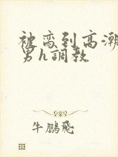 被脔到高潮的直男h调教