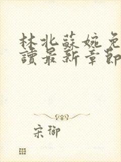 林北苏婉免费阅读最新章节笔趣阁