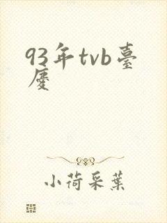 93年tvb台庆