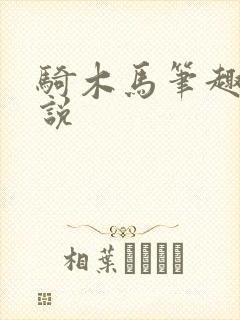 骑木马笔趣阁小说封面