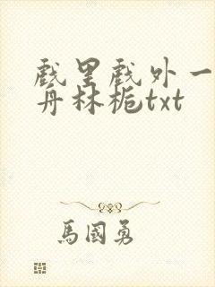 戏里戏外一叶孤舟林栀txt封面