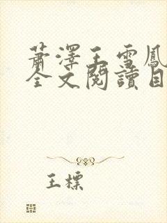 萧泽王雪凤小说全文阅读目录