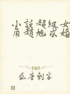 小说超级女婿主角赵旭求婚