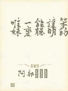 唯一能让笨蛋妹妹变聪明的方法只有我的xx封面