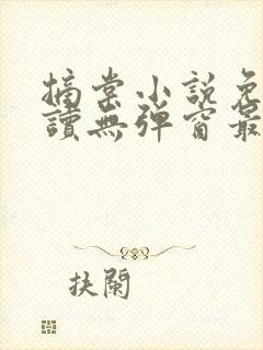 摘棠小说免费阅读无弹窗最新章节