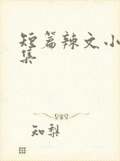 短篇辣文小说合集封面