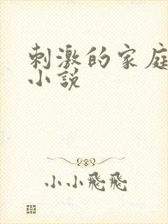 刺激的家庭乱仑小说封面