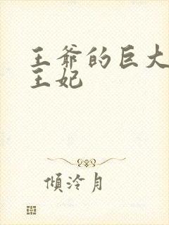 王爷的巨大进入王妃封面