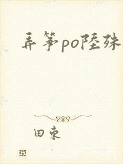 弄筝po陆殊词封面