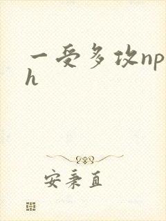 一受多攻np高h