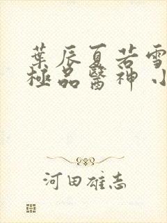 叶辰夏若雪都市极品医神 小说