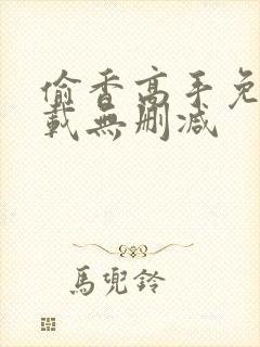 偷香高手免费下载无删减封面