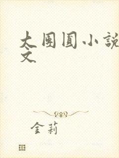 大团圆小说集全文