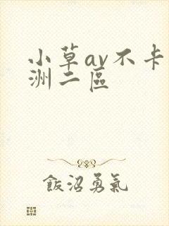 小草av不卡亚洲二区