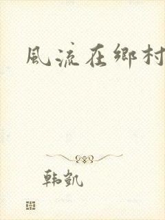 风流在乡村封面