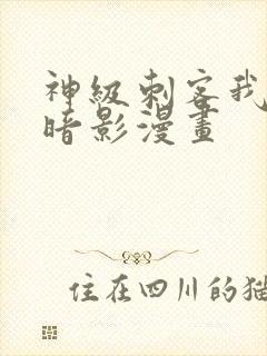 神级刺客我即是暗影漫画