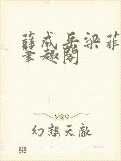 薛成岳梁菲小说笔趣阁