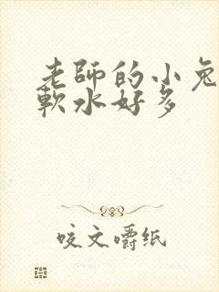老师的小兔子好软水好多