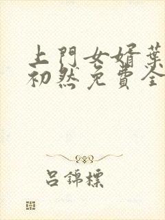 上门女婿叶辰萧初然免费全文阅读封面